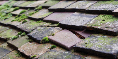 Llangadog roof repair costs